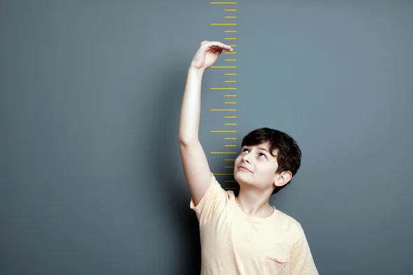 Height Estimation